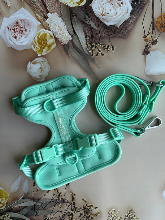 SoftFit No-Pull Dog Harness + Leash