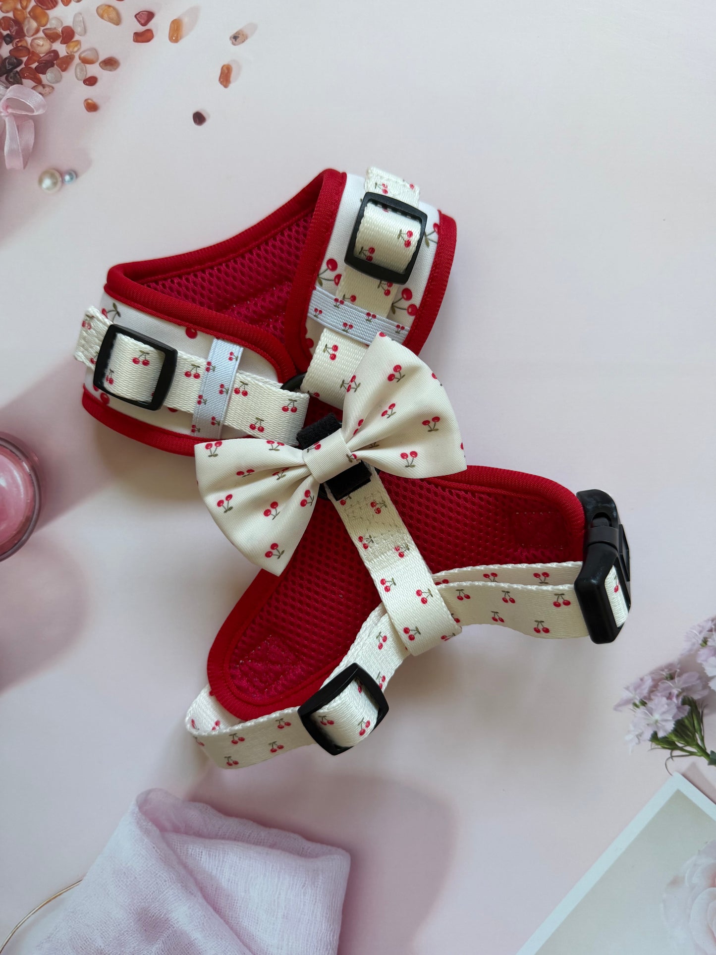 The Cherry Bow Collections