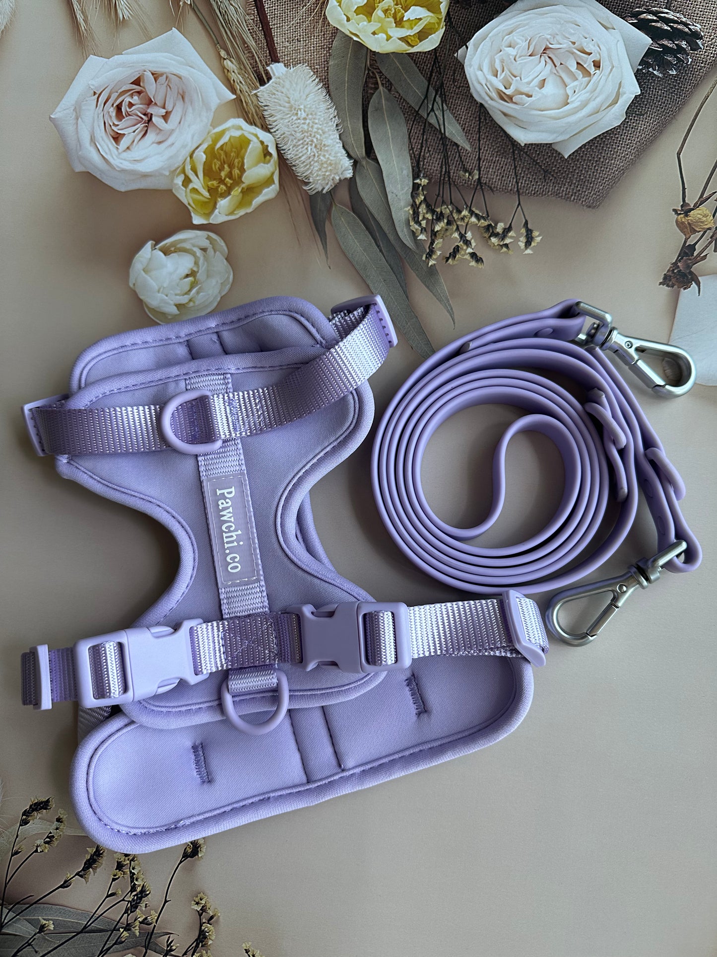 SoftFit No-Pull Dog Harness + Leash