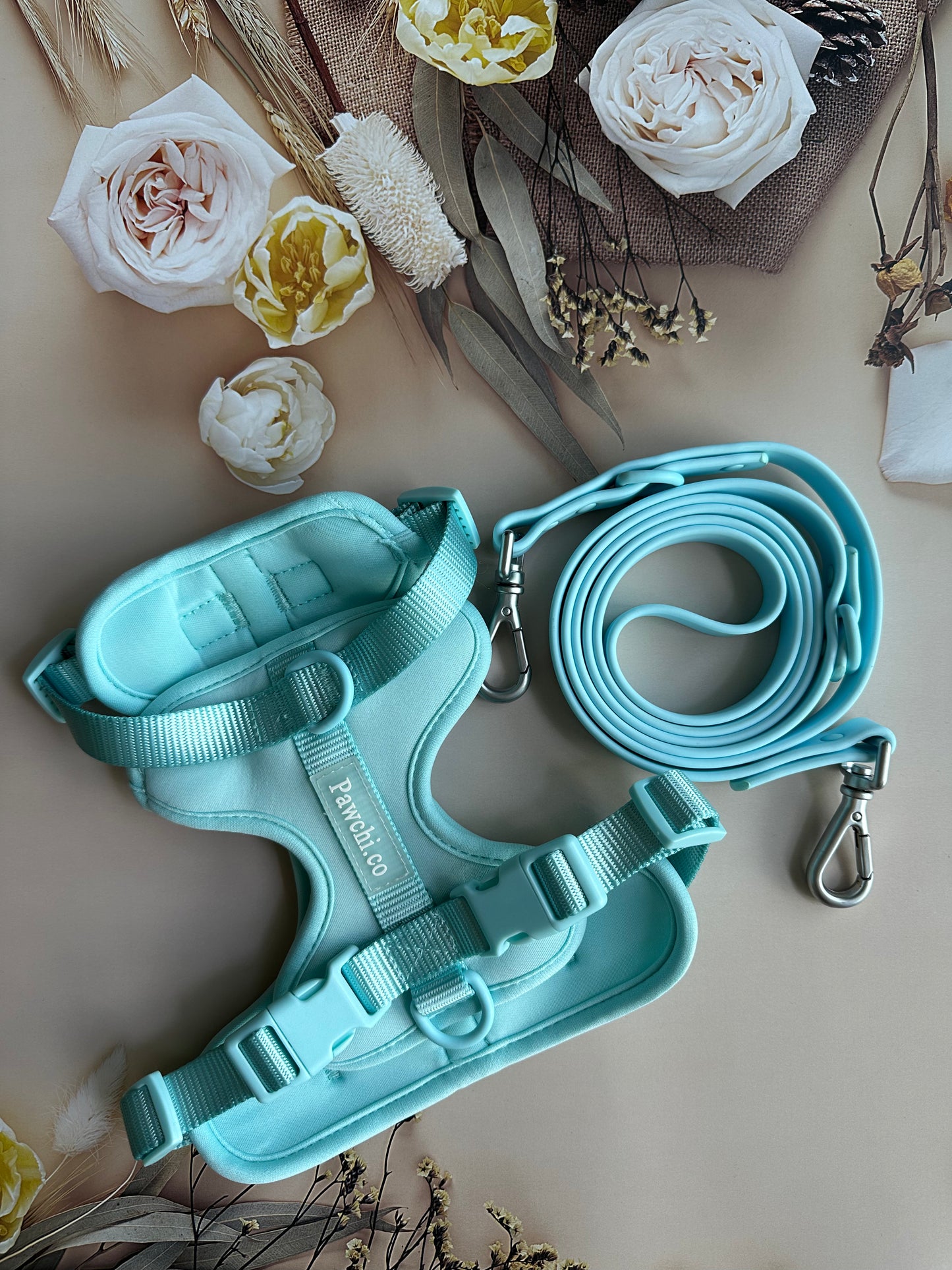 SoftFit No-Pull Dog Harness + Leash