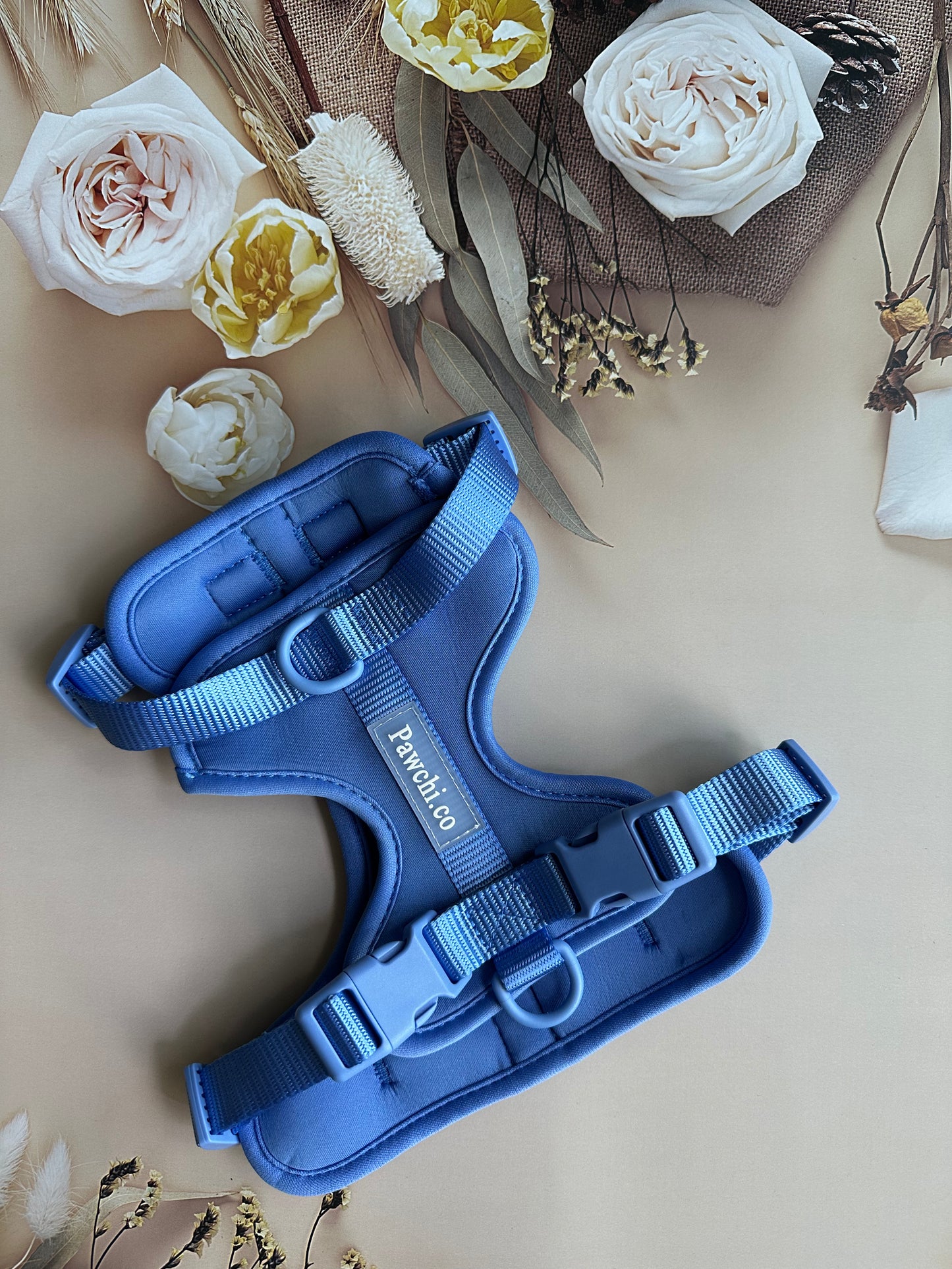 SoftFit No-Pull Dog Harness