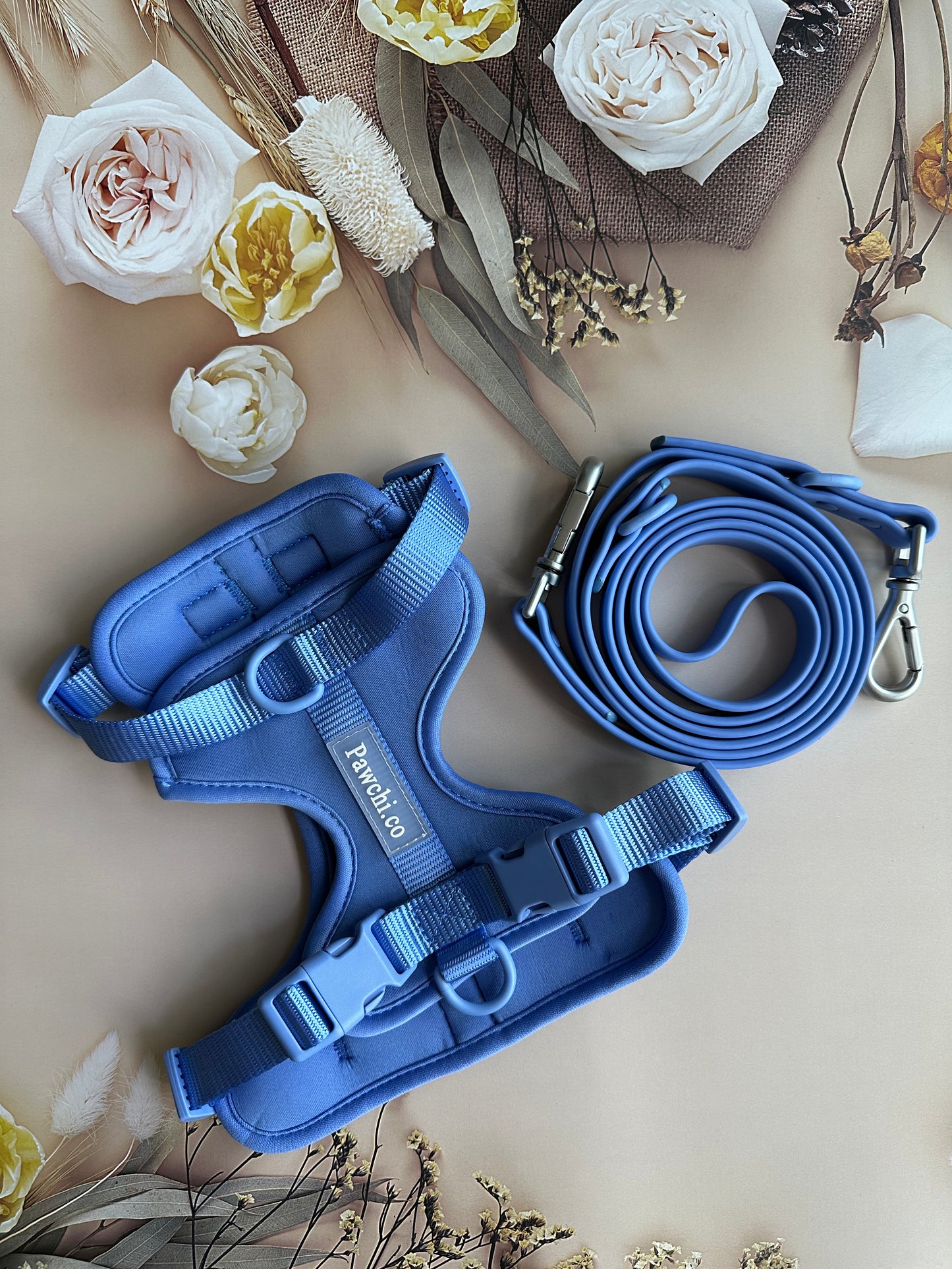 SoftFit No-Pull Dog Harness + Leash