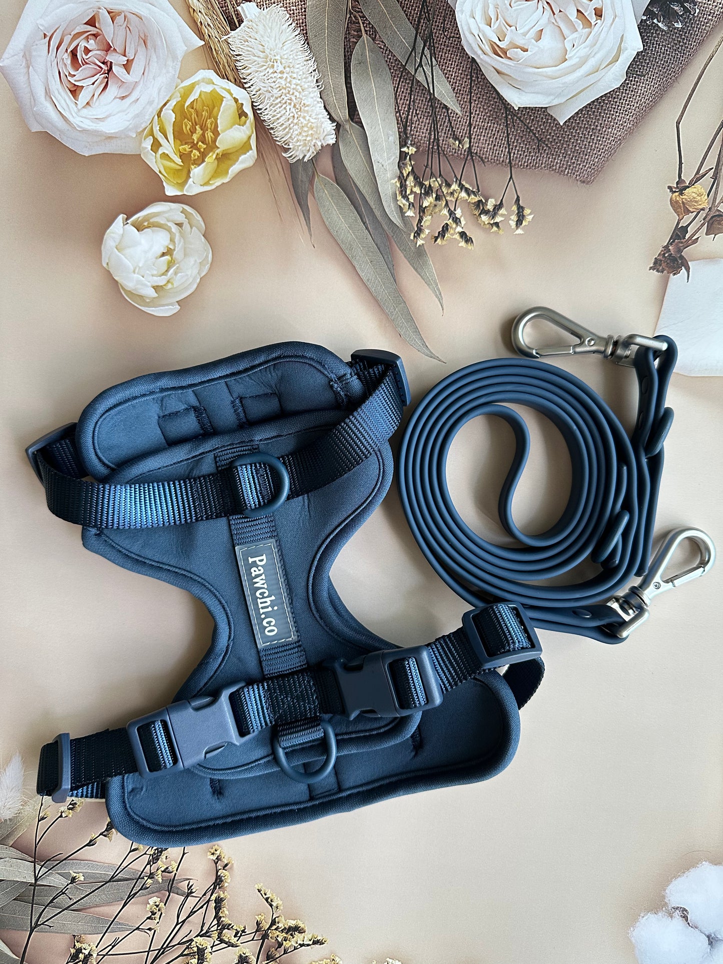 SoftFit No-Pull Dog Harness + Leash