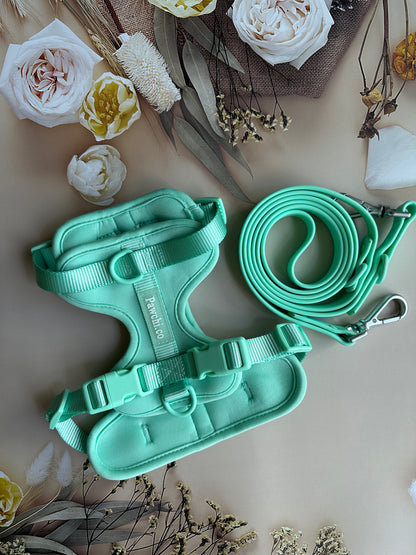 SoftFit No-Pull Dog Harness + Leash