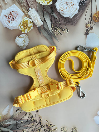 SoftFit No-Pull Dog Harness + Leash