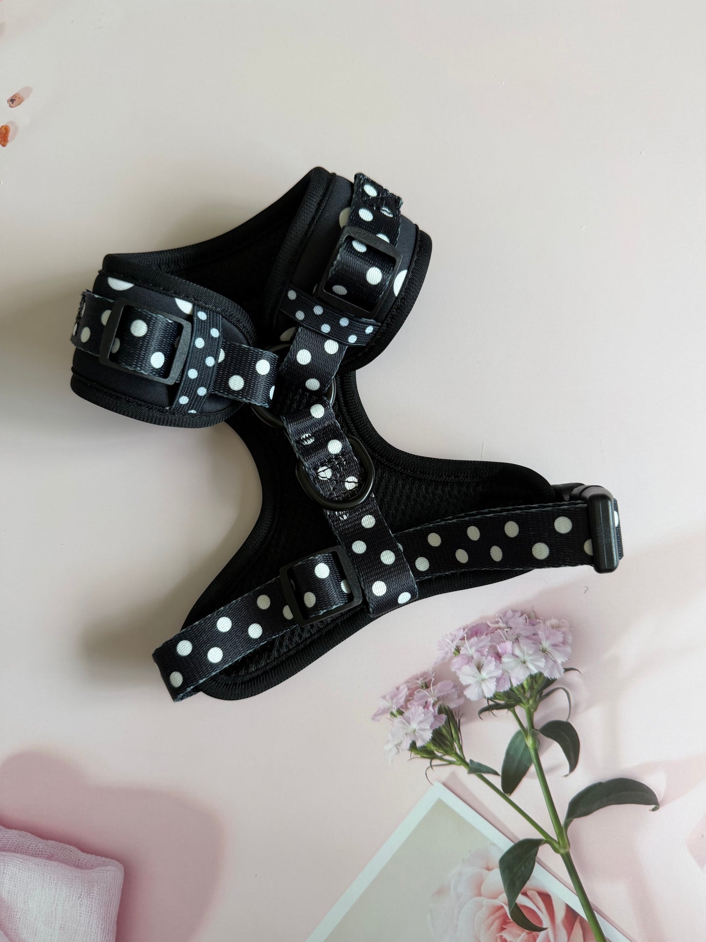 Black Polka Harness